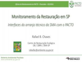 Monitoramento da restauração em SP