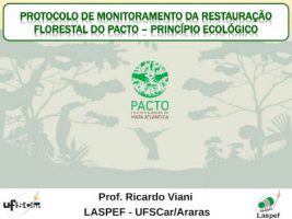 Protocolo de monitoramento da restautação florestal do PACTO – Princípio Ecológico