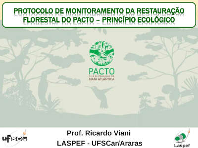 Protocolo de monitoramento da restautação florestal do PACTO – Princípio Ecológico