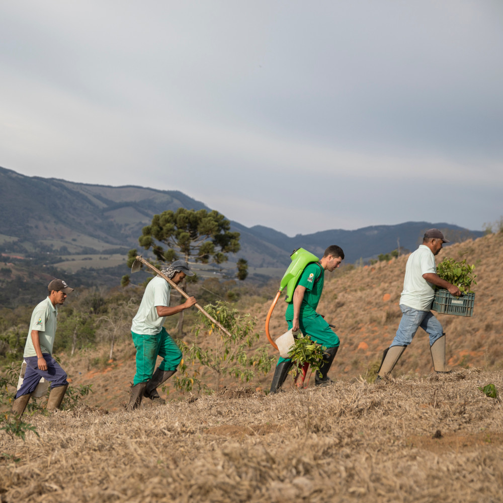 Homens atuam em ações em plantio e manutenção de mudas em projeto de restauração na região da Serra da Mantiqueira