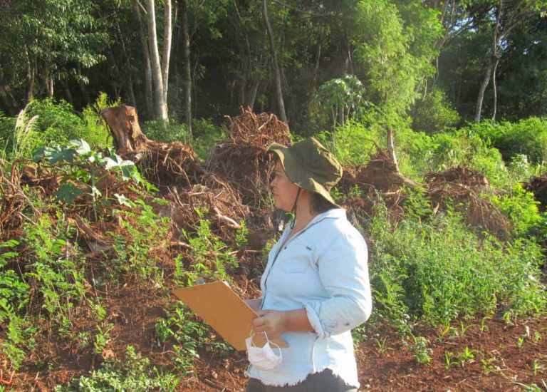 Mater Natura - levantamento regeneração natural